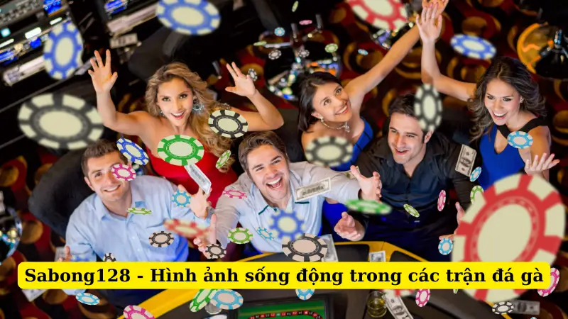 Sabong128 - Hình ảnh sống động trong các trận đá gà